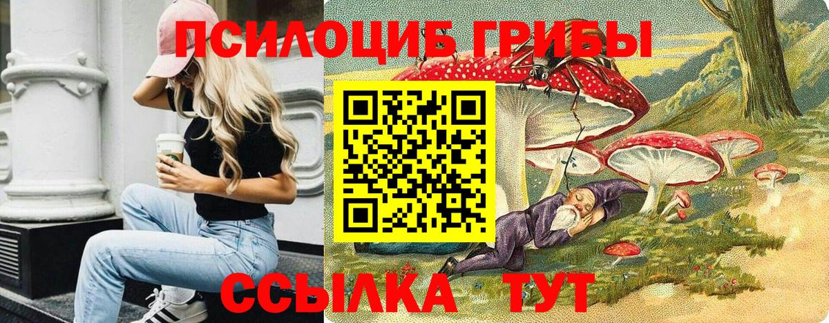 Псилоцибиновые грибы ЛСД Костомукша